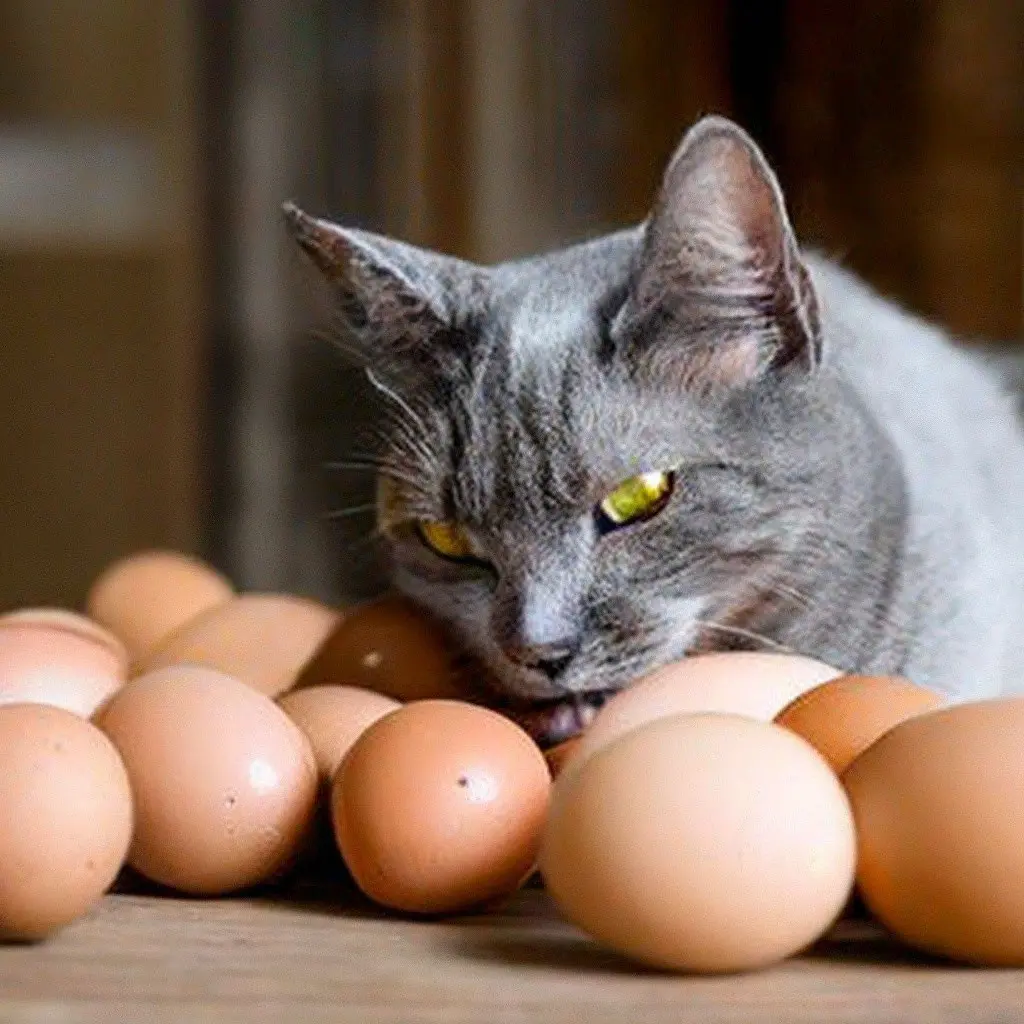 Чем полезна удалённая работа: 7 навыков, которые останутся с вами навсегда