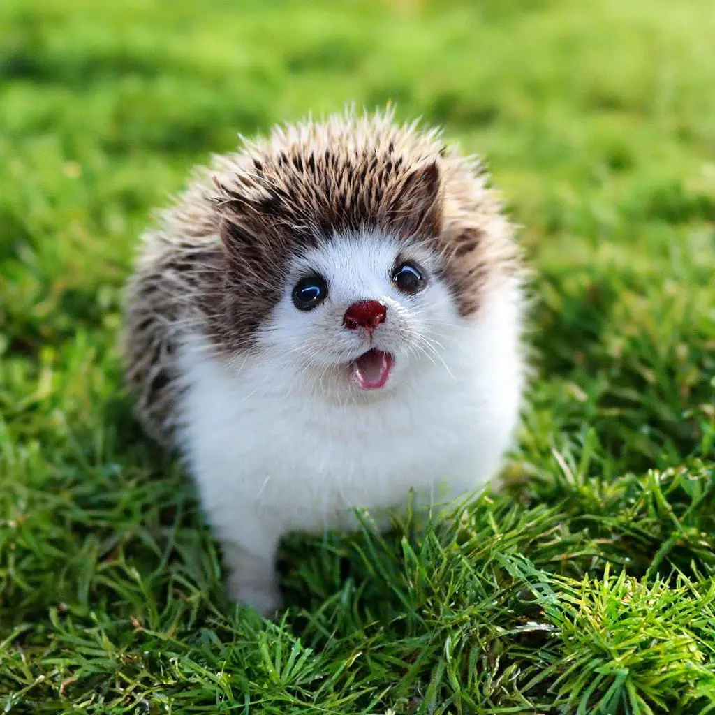 Семь аргументов в пользу того, чтобы остаться на «надоевшей» работе