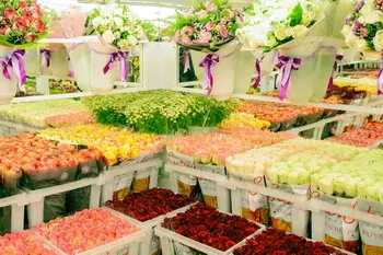 Где купить цветы в Оренбурге: полный обзор точек продаж