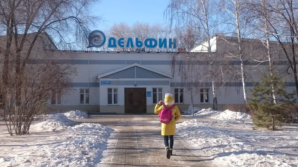Бассейн Оренбург 🏝️🍹⛱️🌞 🌊