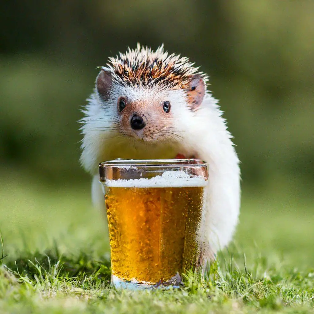 Как пережить сокращение: 12 практических советов